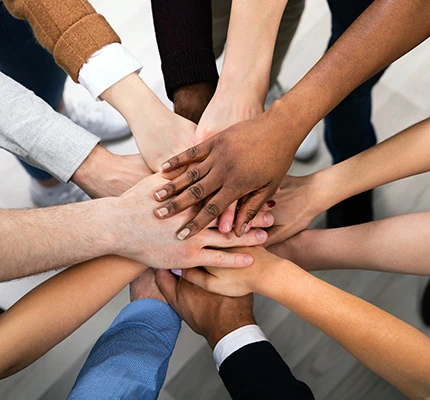 Multiple Hands In Parrtnership